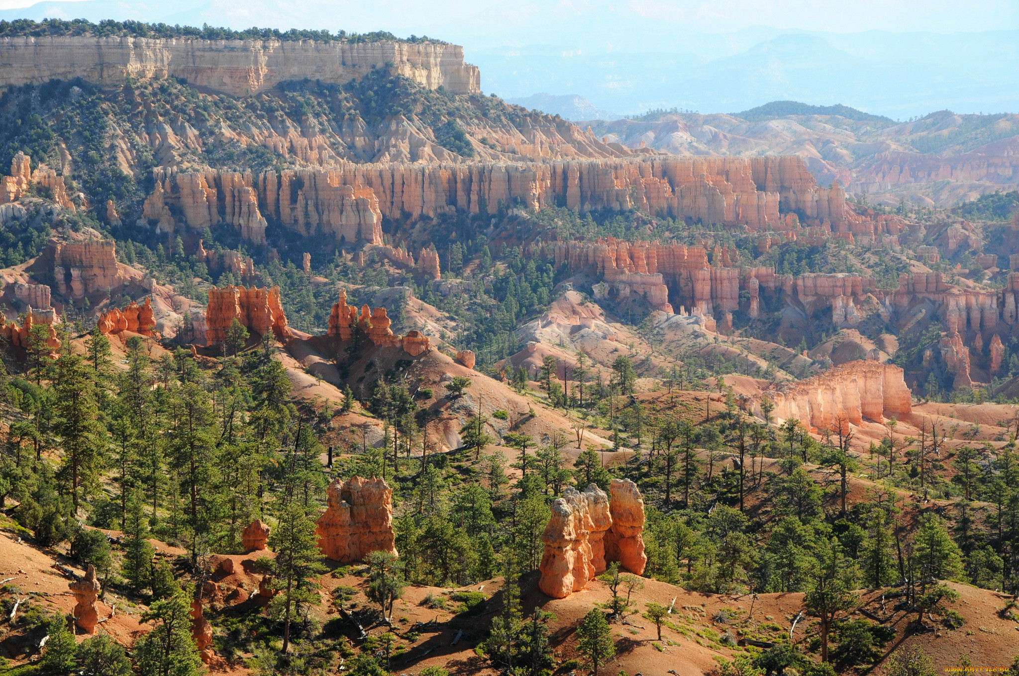 bryce canyon national park  utah, , , bryce, canyon, , , park, utah